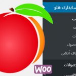 افزونه وردپرس اتصال نرم افزار حسابداری هلو به ووکامرس